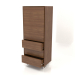 3d model Chest of drawers TM 013 (open) (600x400x1500, wood brown light) - preview