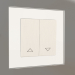 3d model Blinds switch (pearl grooved) - preview