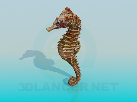 3d model Sea horse - preview 3d model Sea horse - preview