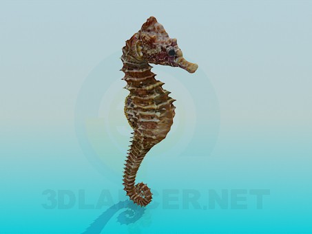 3d model Sea horse - preview 3d model Sea horse - preview