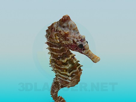 3d model Sea horse - preview 3d model Sea horse - preview