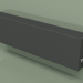 3D Modell Konvektor - Aura Slim Basic (280 x 1000 x 130, RAL 9005) - Vorschau
