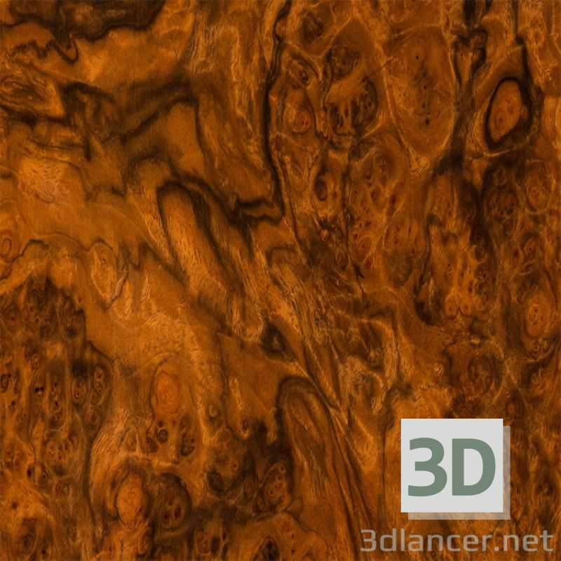 Texture walnut root 2 free download - image