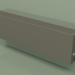 3D modeli Konvektör - Aura Slim Basic (280x1000x130, RAL 7013) - önizleme