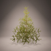 3d Christmas tree, spruce, spruce, Christmas tree, conifer model buy - render