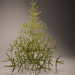 3d Christmas tree, spruce, ялина, ялинка, хвойне дерево модель купити - зображення