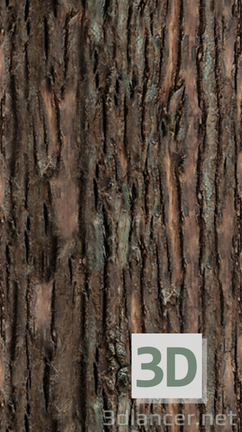 Textura de casca de pinheiro comprar textura para 3d max