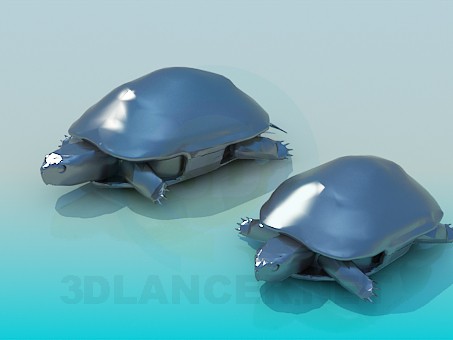 3d model Turtles - preview 3d model Turtles - preview