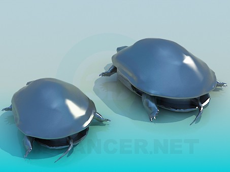 3d model Turtles - preview 3d model Turtles - preview