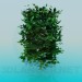 3D modeli Yemyeşil bush - önizleme