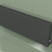 3D modeli Konvektör - Aura Slim Basic (350x1000x80, RAL 9005) - önizleme