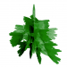 3d Object tree pine model buy - render