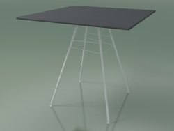 Tavolo da esterno con piano di lavoro quadrato 1815 (H 74 - 79 x 79 cm, HPL, V12)