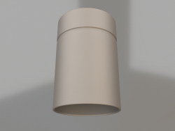 Lámpara de techo (5628)