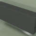 modello 3D Convettore - Aura Slim Basic (350x1000x180, RAL 9005) - anteprima