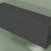 modello 3D Convettore - Aura Slim Basic (350x1000x230, RAL 9005) - anteprima