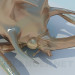 3d модель Сувенірний жук – превью