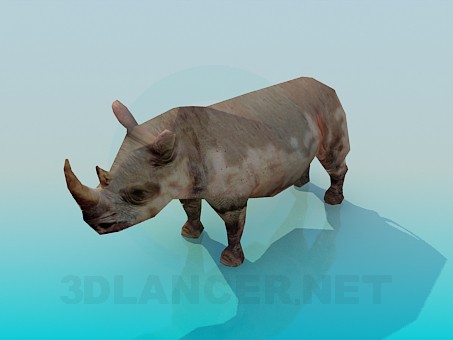 Modelo 3d Rinoceronte - preview