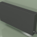 3D modeli Konvektör - Aura Slim Basic (500x1000x130, RAL 9005) - önizleme