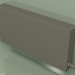 modello 3D Convettore - Aura Slim Basic (500x1000x130, RAL 7013) - anteprima