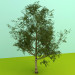 3d model trees - preview