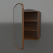 3d model Mirror (with half-open drawer) ZL 17 (460x200x695, wood brown light) - preview