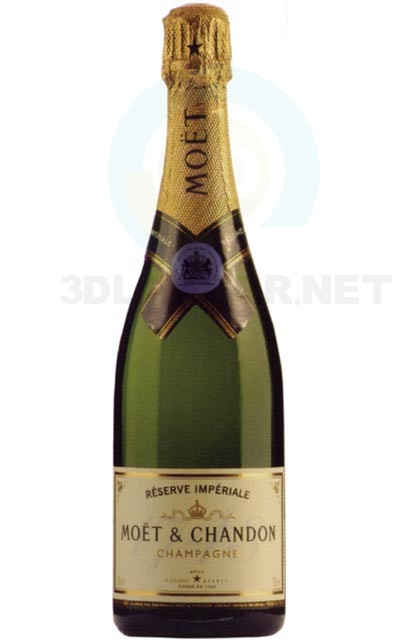 champagne 3d model