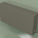 modèle 3D Convecteur - Aura Slim Basic (500x1000x180, RAL 7013) - preview