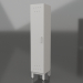 3d model Wardrobe wardrobe LK-400 ShG - preview