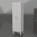 3d model Wardrobe wardrobe LK-600 ShG - preview