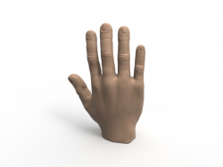 scale hand