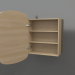 3d model Mirror (with open drawer) ZL 17 (460x200x695, wood white) - preview