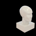 modello 3D Busto - anteprima