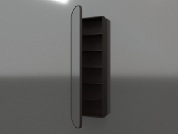 Miroir (avec tiroir semi-ouvert) ZL 17 (460x200x1500, bois brun foncé)