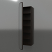 3d model Mirror (with half-open drawer) ZL 17 (460x200x1500, wood brown dark) - preview