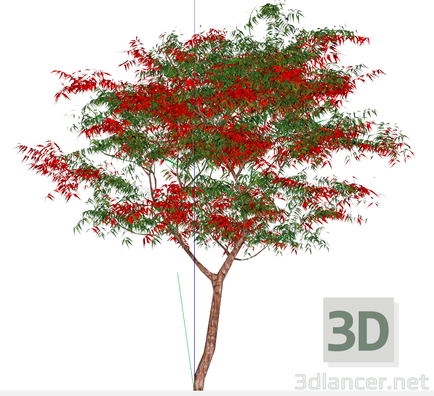 3D modeli mantar - önizleme