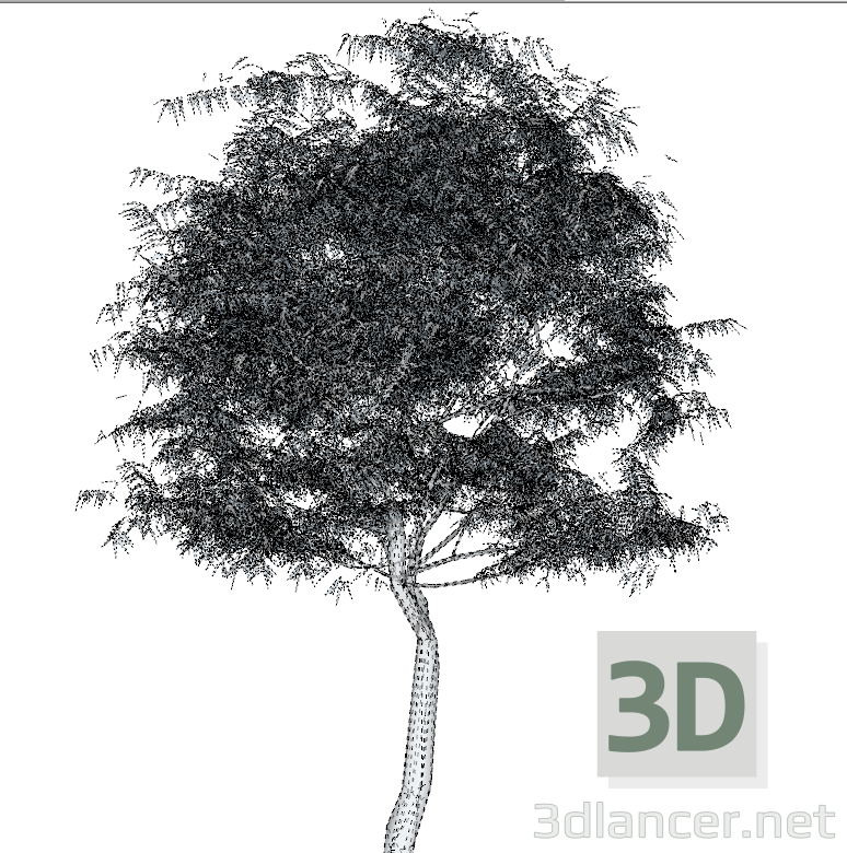modello 3D Corticcia - anteprima