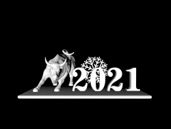Delivery Bull 2021 NEW YEAR