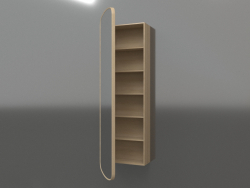 Spiegel (mit halboffener Schublade) ZL 17 (460x200x1500, Holz weiß)