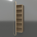 3d model Mirror (with half-open drawer) ZL 17 (460x200x1500, wood white) - preview