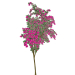 3d модель Бугенвілія видовищна рожева – превью