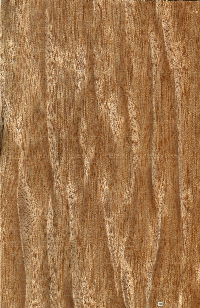 Texture gaboon free download - image