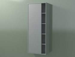 Armario de pared con 1 puerta izquierda (8CUCDСS01, Silver Grey C35, L 48, P 24, H 120 cm)