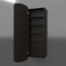 3d model Espejo (con cajón abierto) ZL 17 (460x200x1500, marrón madera oscuro) - vista previa