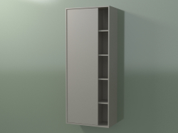 Wall cabinet with 1 left door (8CUCDСS01, Clay C37, L 48, P 24, H 120 cm)