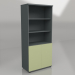 3d model Semi-bookcase Standard A5404HZ (801x432x1833) - preview