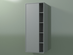 Armario de pared con 1 puerta izquierda (8CUCDDS01, Silver Grey C35, L 48, P 36, H 120 cm)