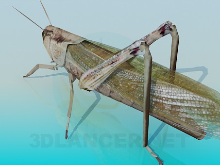 3d model Grasshopper - preview 3d model Grasshopper - preview