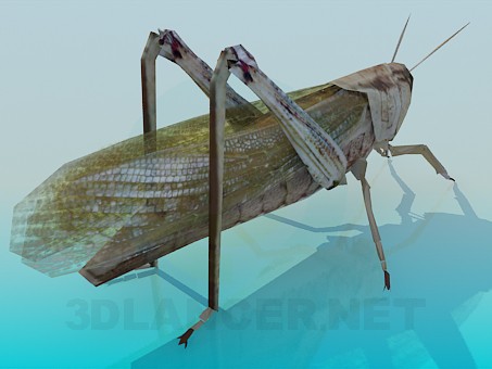 3d model Grasshopper - preview 3d model Grasshopper - preview
