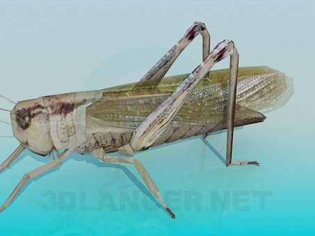 3d model Grasshopper - preview 3d model Grasshopper - preview